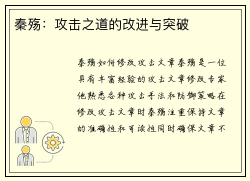 秦殇：攻击之道的改进与突破